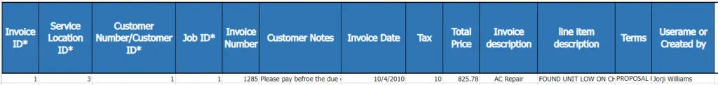 The Invoices import template